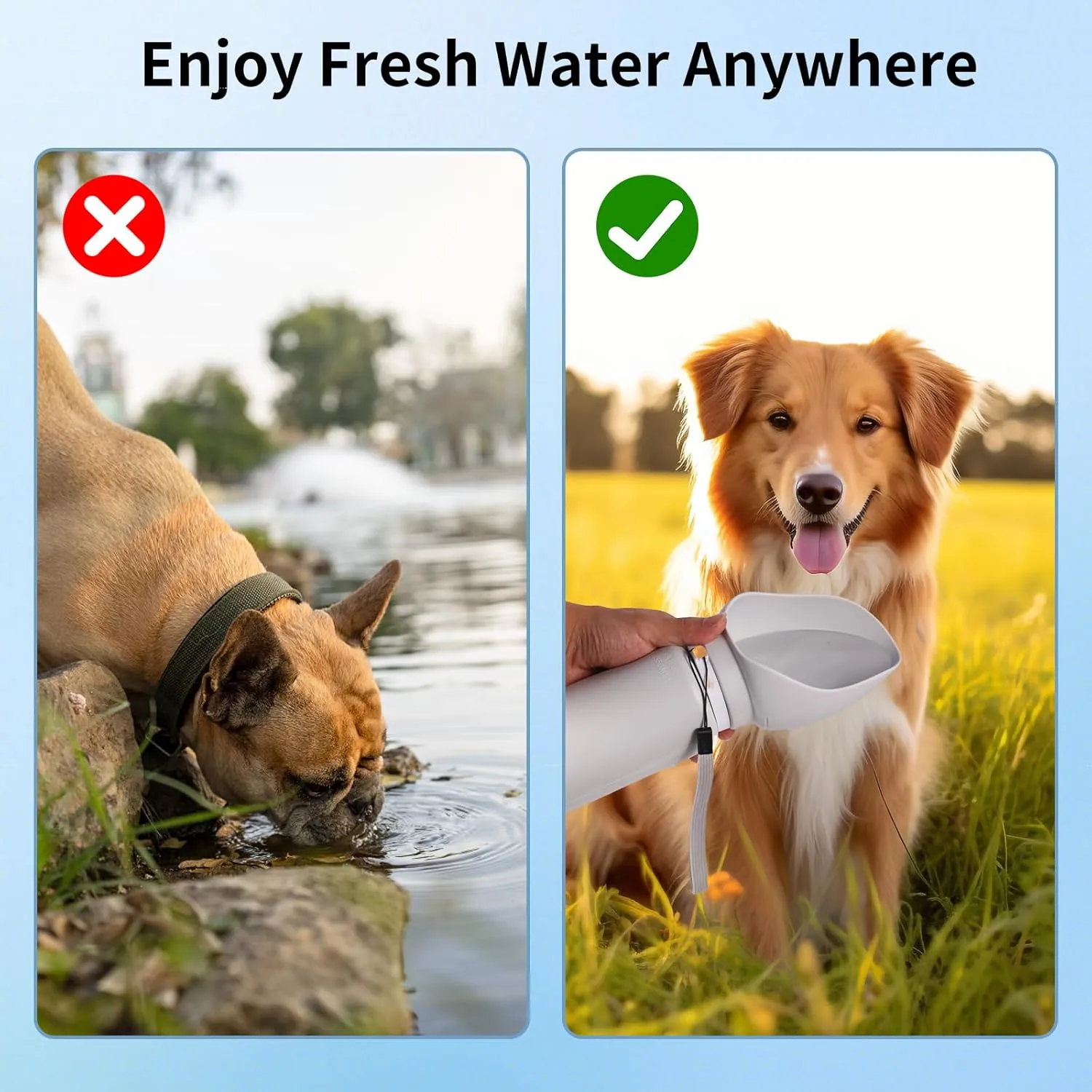 🐕🚶‍♂️ Portable Dog Water Bottle 🐕🚶‍♂️