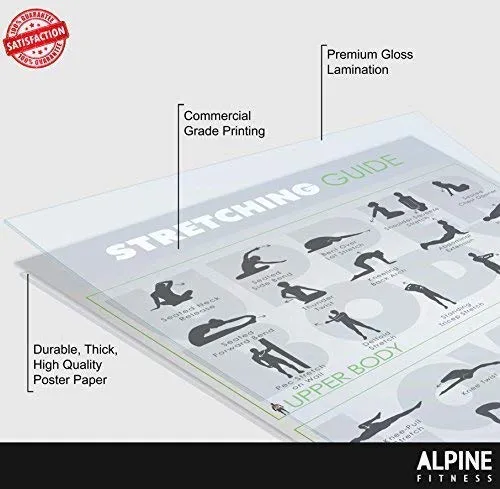 Workout Posters for Home Gym - Alpine Fitness Exercise Poster Bundle Includes 7 Gym